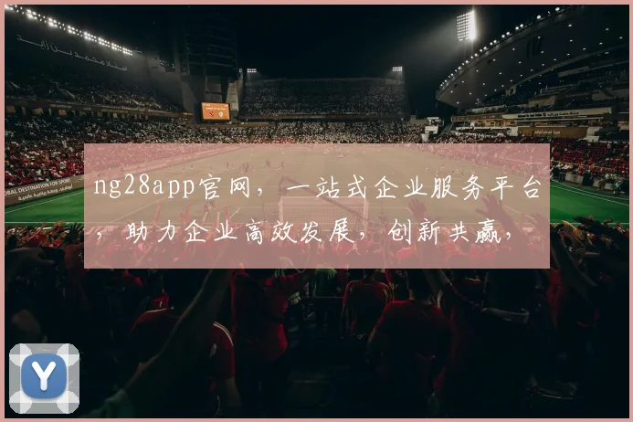 ng28app官网，一站式企业服务平台，助力企业高效发展，创新共赢，行业领先