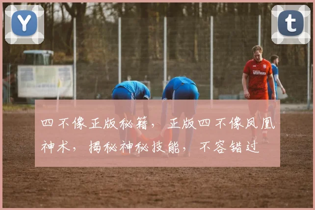 四不像正版秘籍，正版四不像凤凰神术，揭秘神秘技能，不容错过